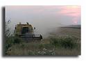 005MH0239-moisson-en-val-d-oise