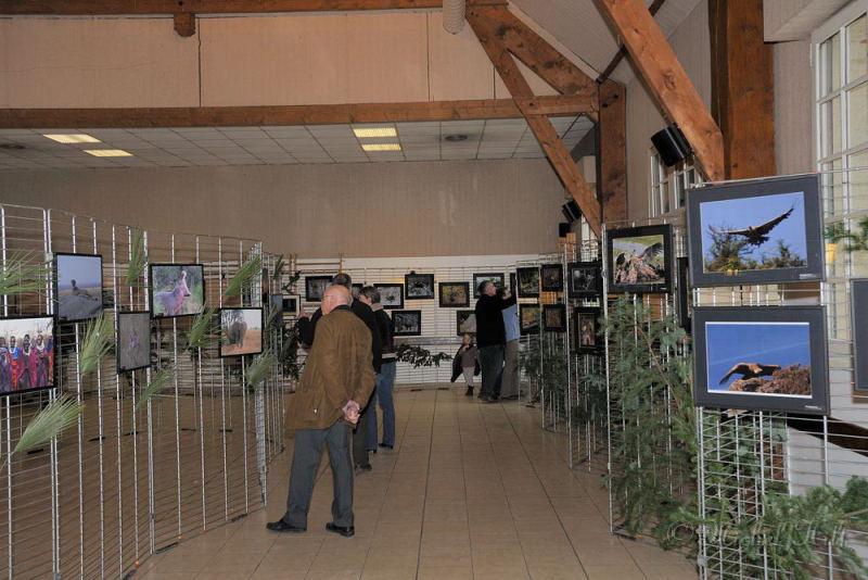 MHO1299-expo-de-Appremonr-14-15mars-2009.JPG