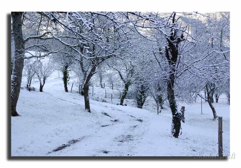 16-MH05738.JPG - ...de la neige dans le jardin